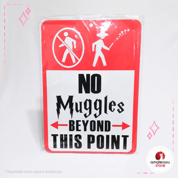 Poster Harry Potter No Muggles
