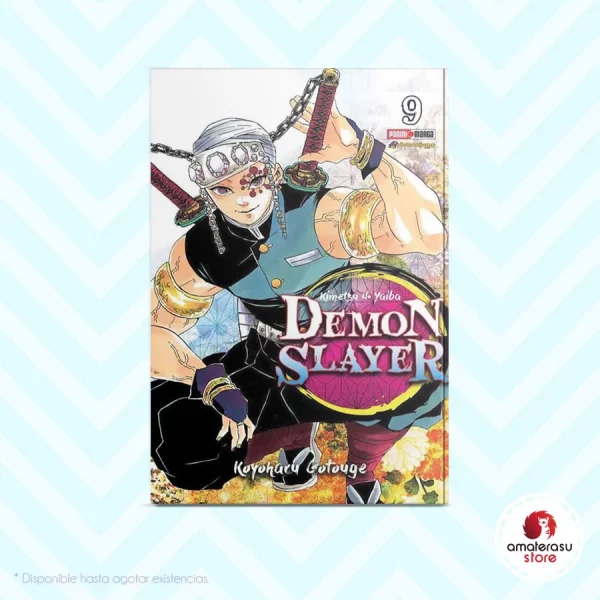 Demon Slayer Vol. 9