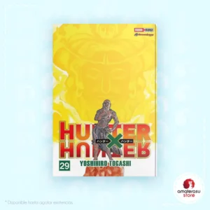 HunterXHunter Vol. 29