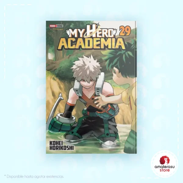 My Hero Academia Vol. 29